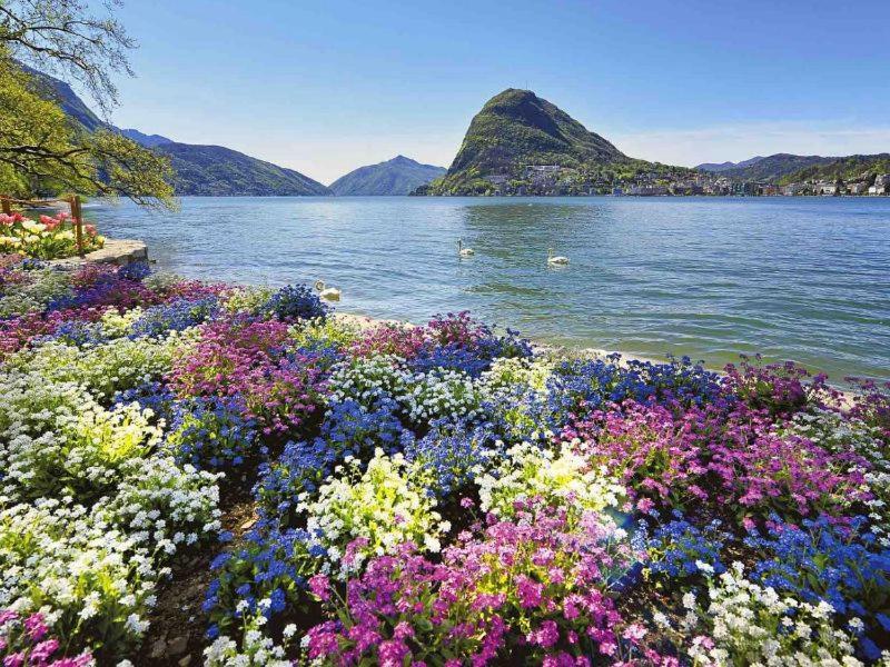 Violet Suite 5 Lugano City For 4 Guest -By Easylife Swiss Bagian luar foto